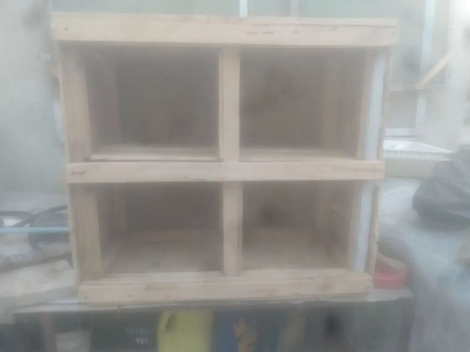 جفت کن کبوتر|لوازم جانبی حیوانات|خوی, |دیوار