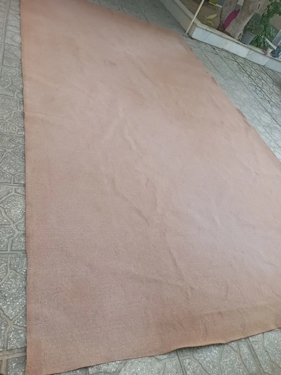 موکت|موکت|سمنان, |دیوار