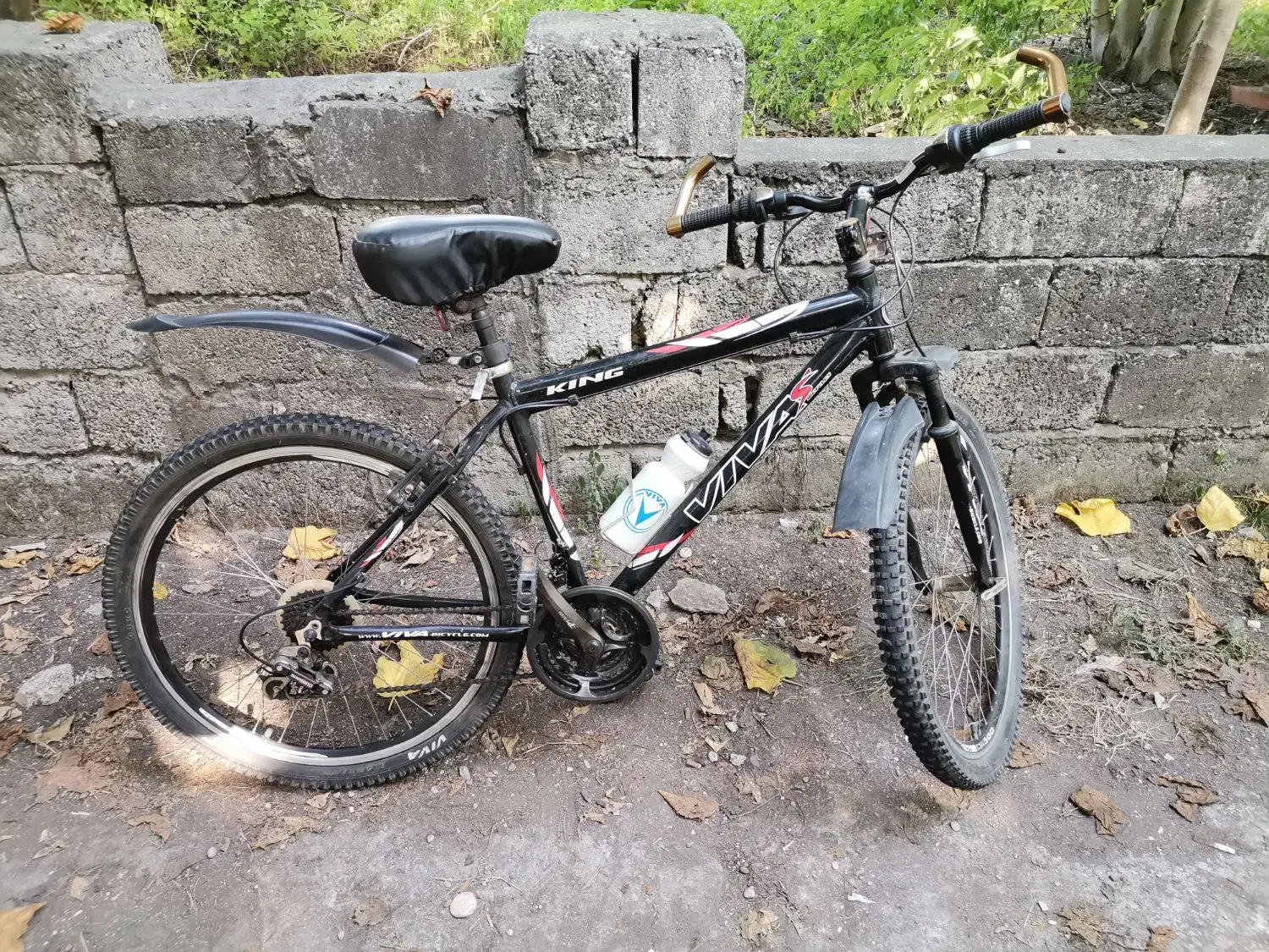 دوچرخه ویوا|دوچرخه، اسکیت، اسکوتر|نوشهر, |دیوار