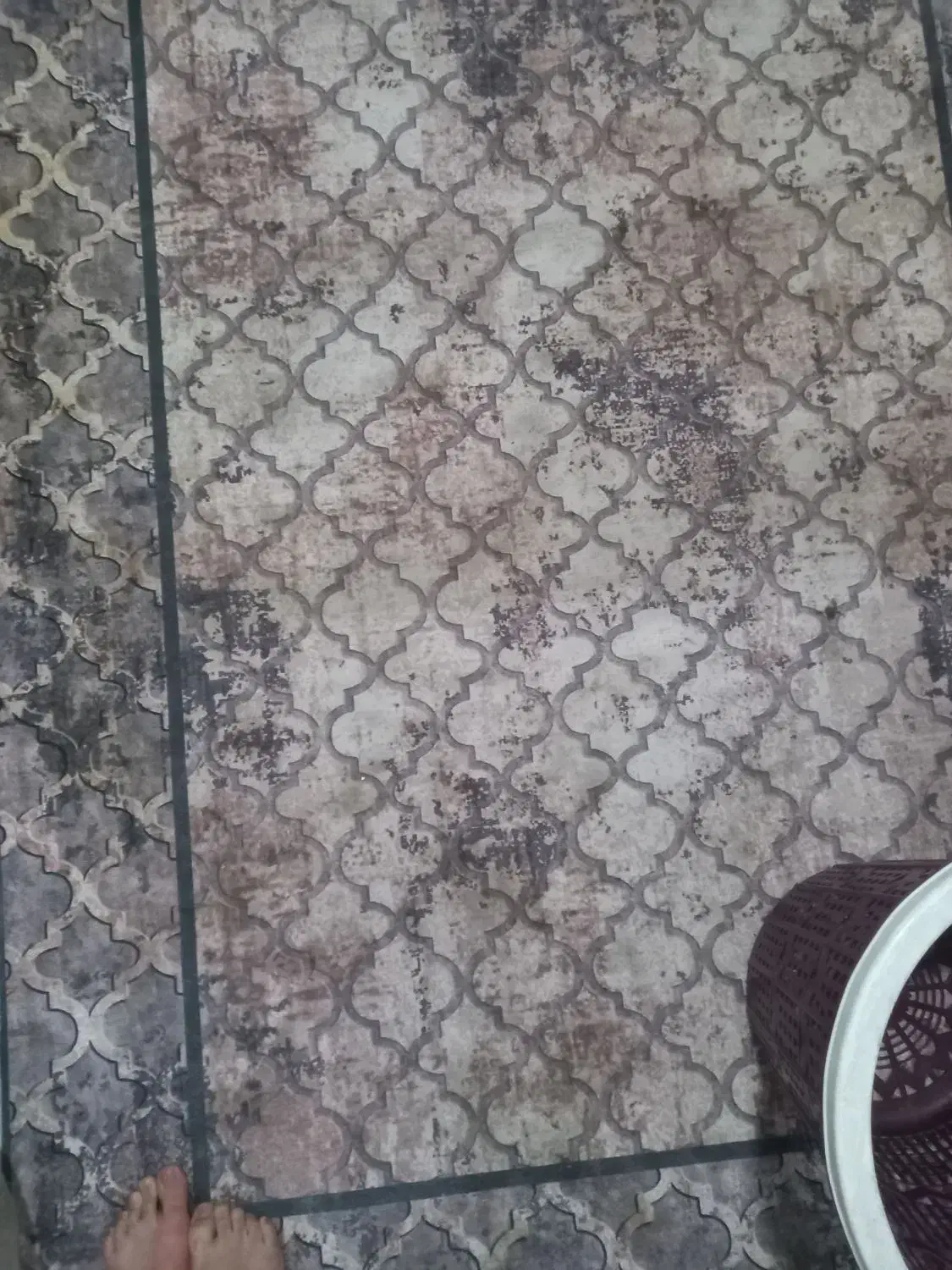 فرشینه ۴متری|فرش|فردیس, فردیس|دیوار