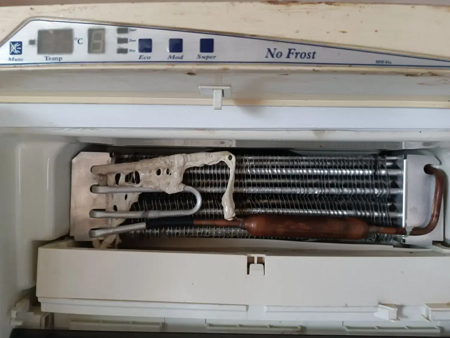 فروش یخچال تمام فریزر هیمالیا|یخچال و فریزر|رضوانشهر, |دیوار