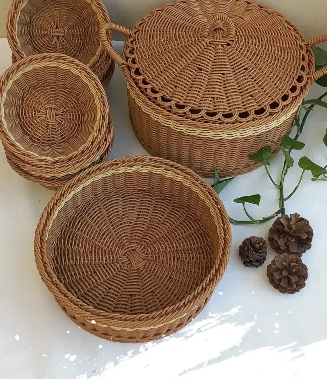 سبد حصیری|صنایع دستی و سایر لوازم تزئینی|تربتحیدریه, باغ ملی|دیوار