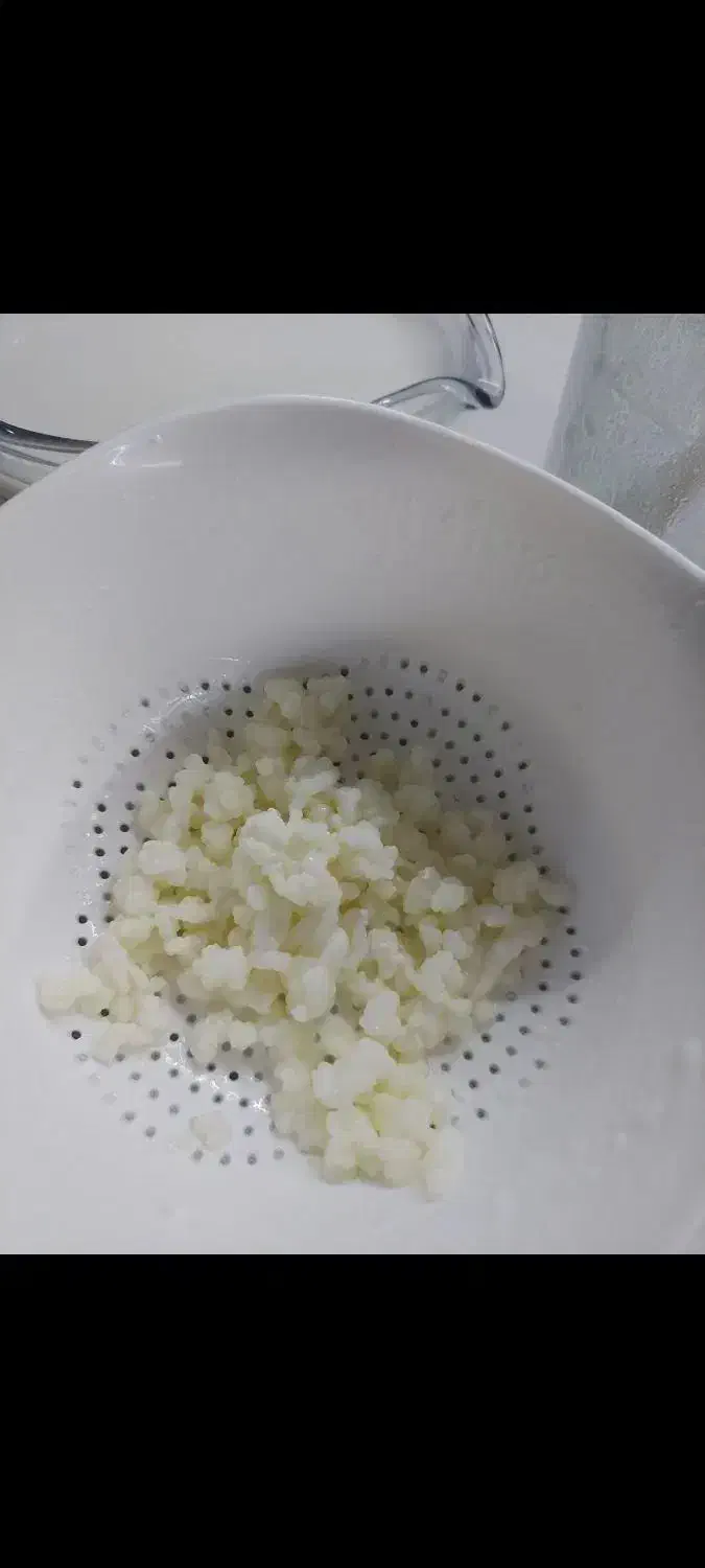 قارچ کفیر قفقاز|خوردنی و آشامیدنی|تهران, سید خندان (جلفا)|دیوار