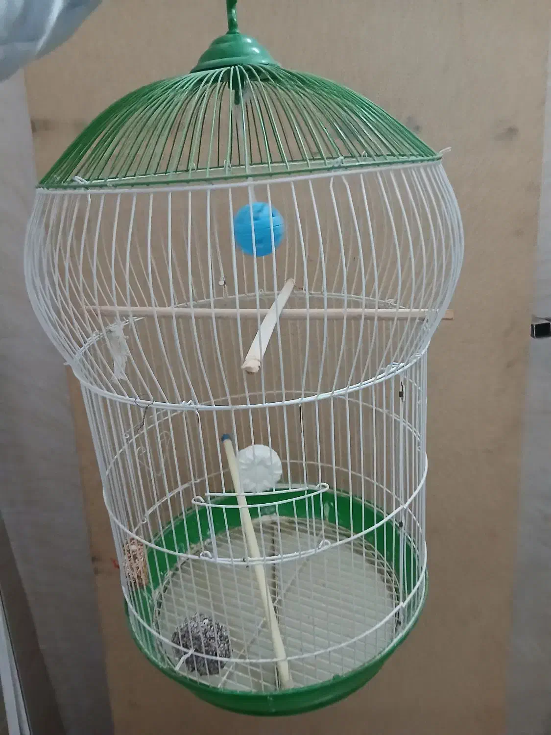 قفس|لوازم جانبی حیوانات|کرج, کرج نو|دیوار