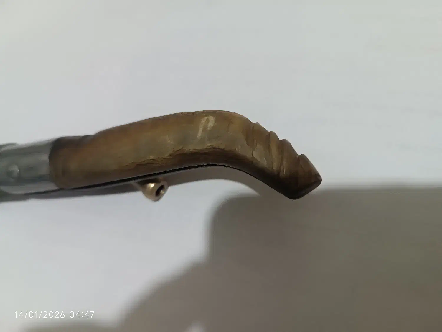 چاقوی دسته شاخ|کوهنوردی و کمپینگ|مشهد, تربیت (صدف)|دیوار