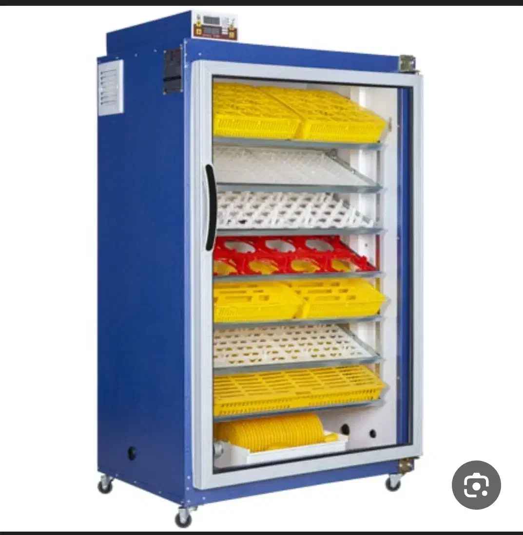 سوسنگرد|لوازم جانبی حیوانات|سوسنگرد, |دیوار