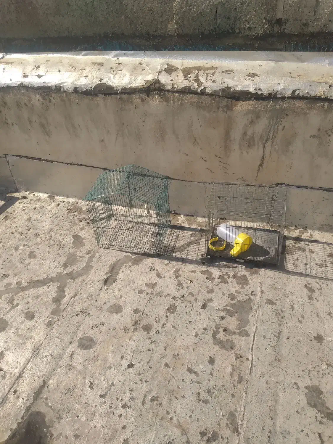 قفس پرنده با وسایل جانبی|لوازم جانبی حیوانات|اندیشه, شهرک مریم|دیوار