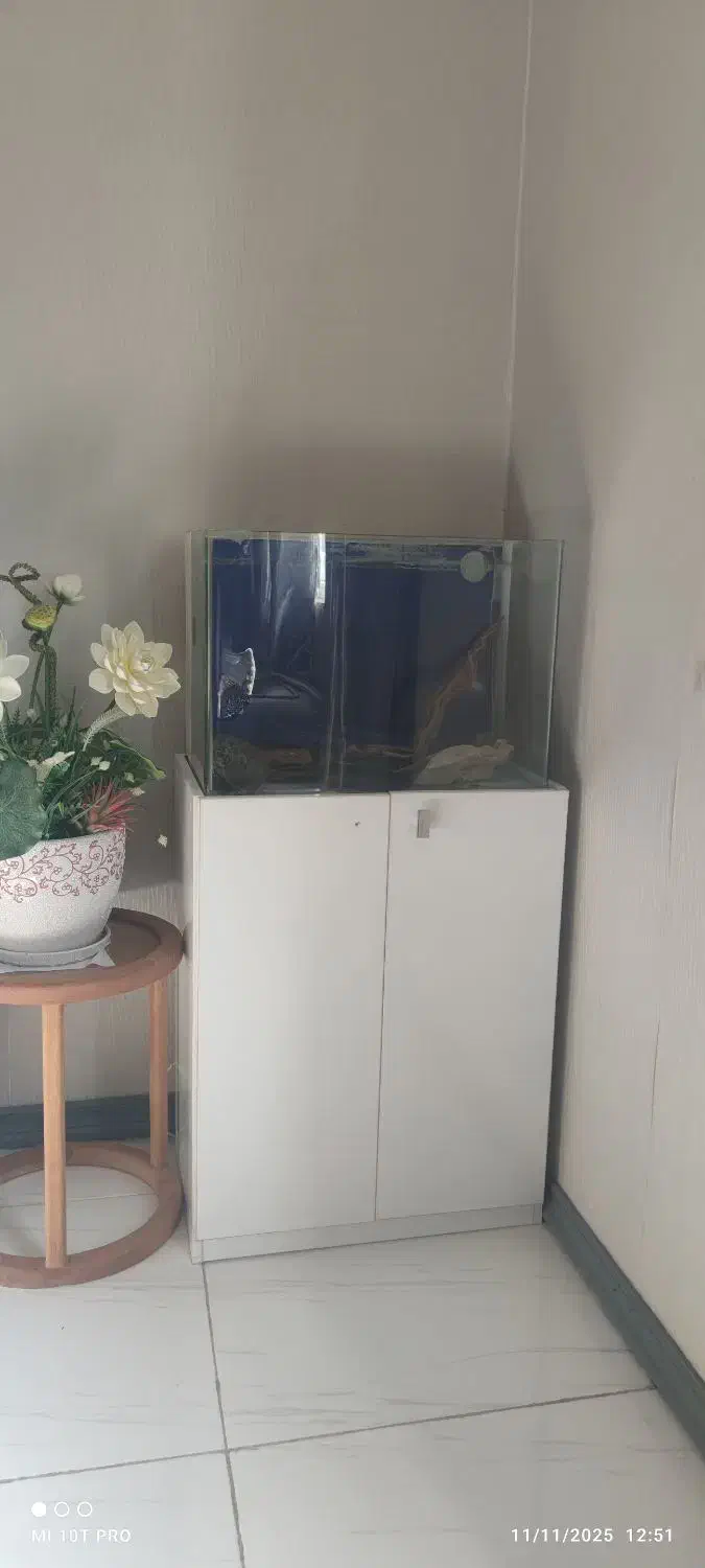 اکواریوم اب شور و آب شیرین|ماهی|قشم, |دیوار