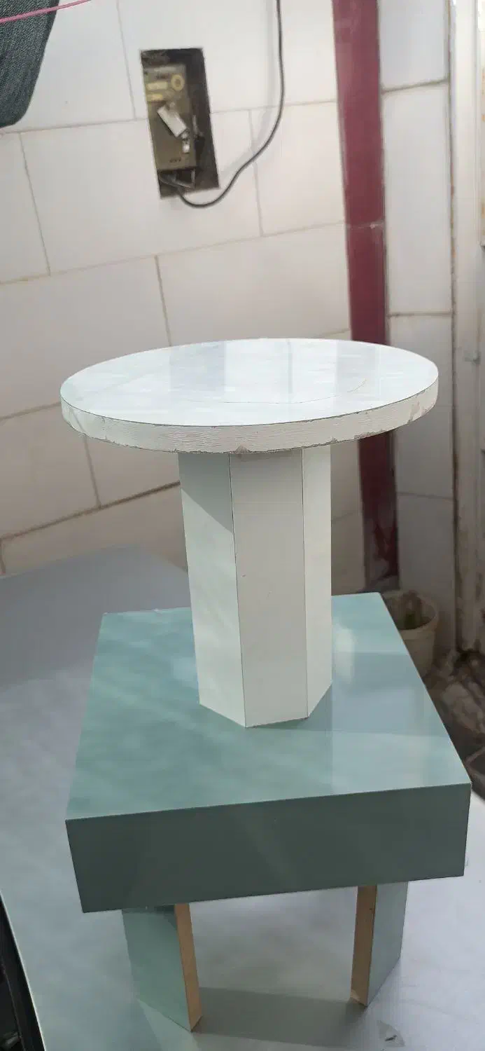 گلدان|گل و گیاه طبیعی|شیراز, نصر|دیوار