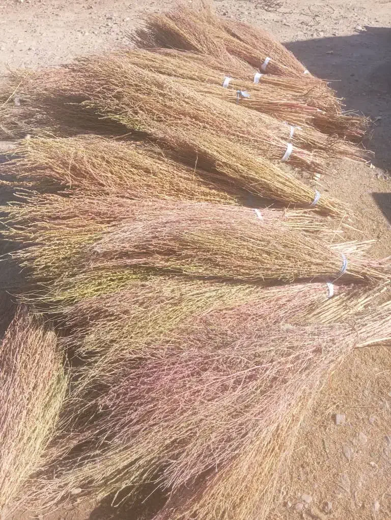 جارو نرم دسته ۳۵|لوازم نظافت|نورآباد, |دیوار