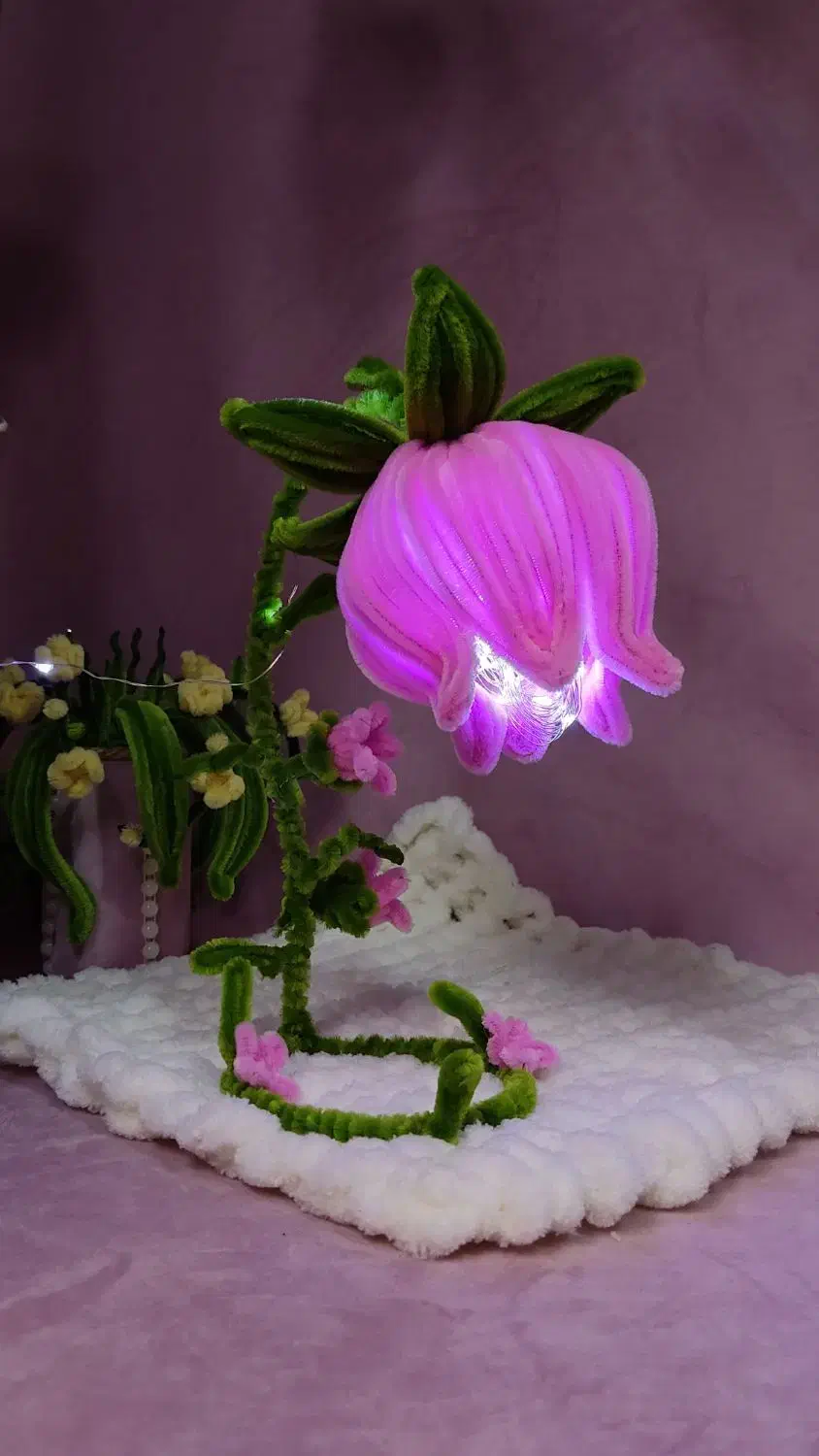 گل پینترسی|چراغ خواب و آباژور|رشت, سلیمانداراب|دیوار