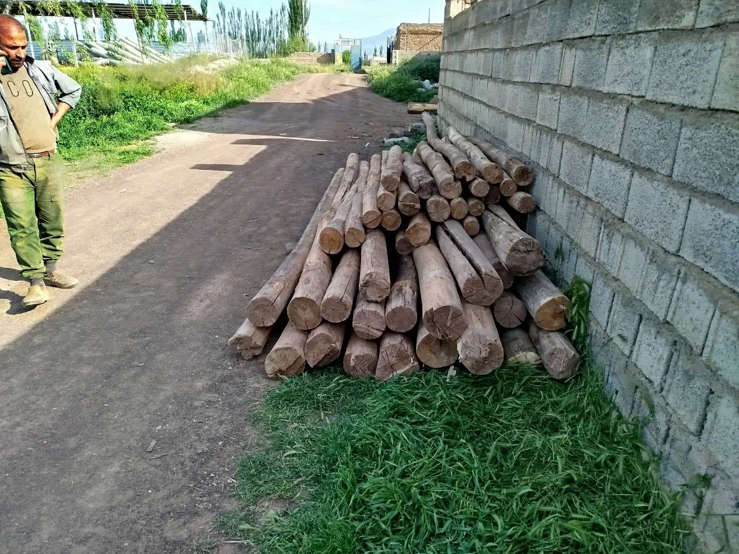 خرید چوب سقفی|خدمات پیشه و مهارت|سلماس, |دیوار