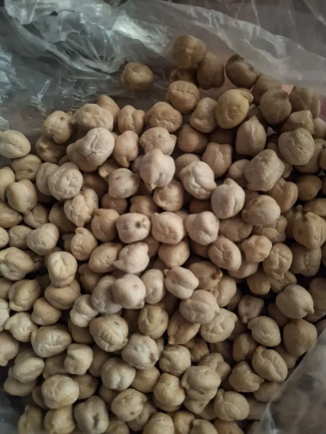 نخود|عمده‌فروشی|کوهین, |دیوار