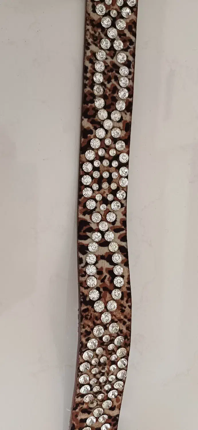 کمربند نگینی کار شده|کیف، کفش، کمربند|کرج, فاز ۳ گوهردشت|دیوار