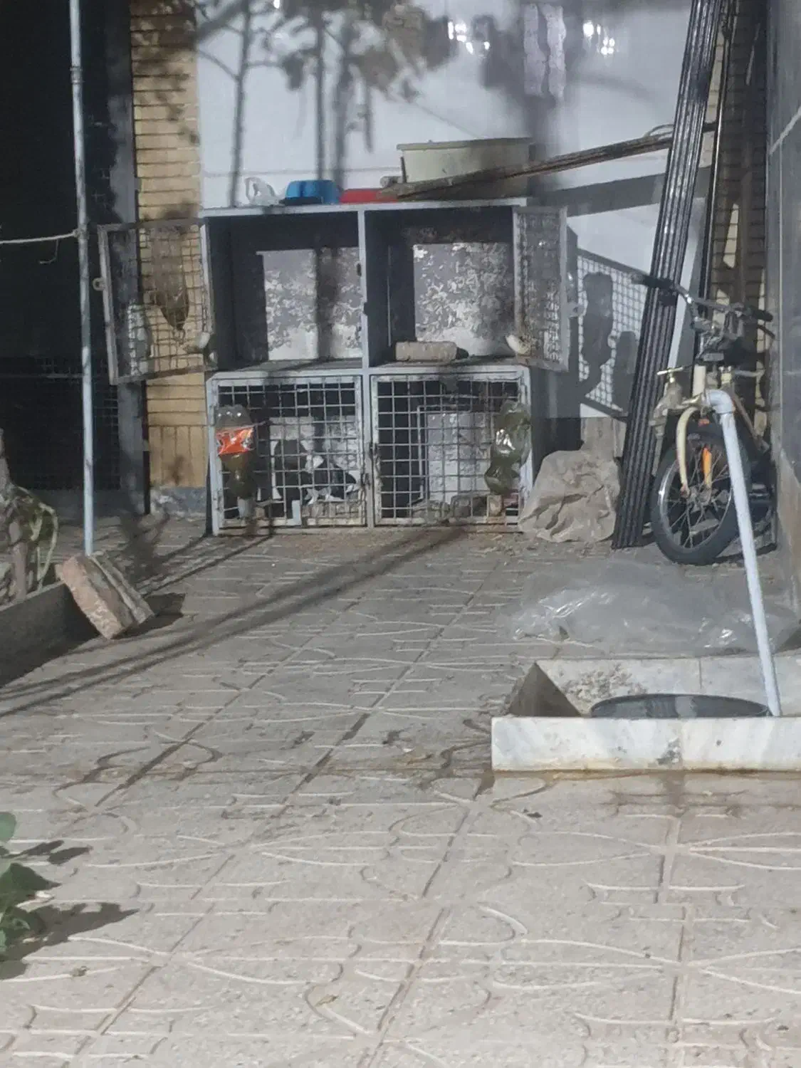 جفتگاه چهارتایی حتما توضیحات خوانده شود|لوازم جانبی حیوانات|بیرجند, |دیوار