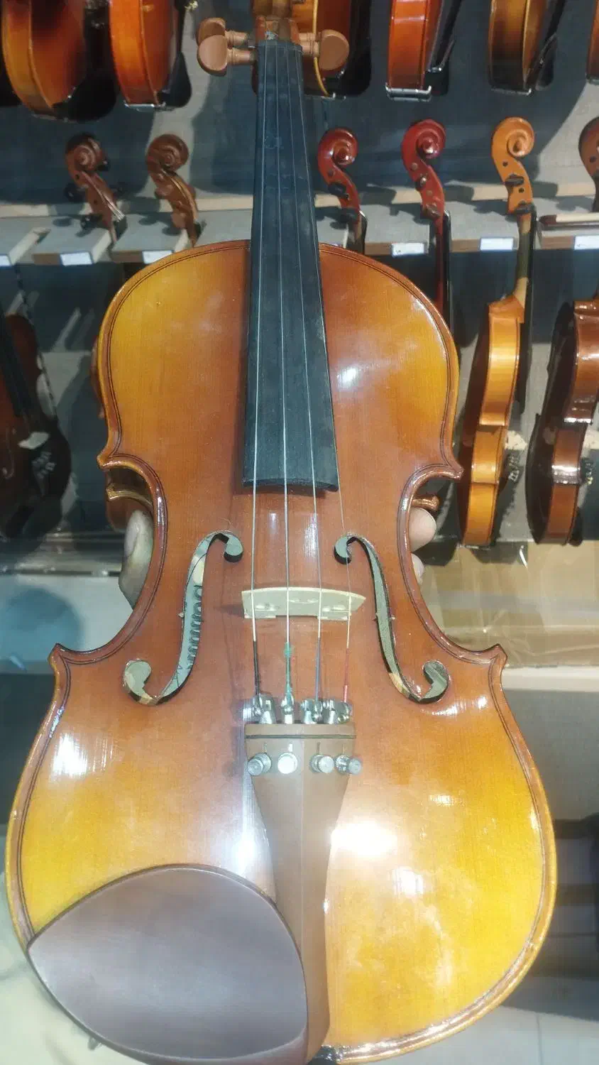 ویولن اشمیت 200|ویولن|شیراز, شهرک قمشه|دیوار