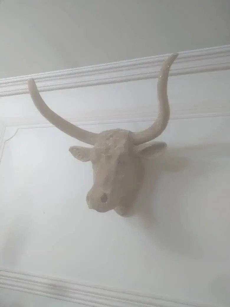 کله گاو تزیینی فارکس|مجسمه، تندیس، ماکت|تبریز, |دیوار