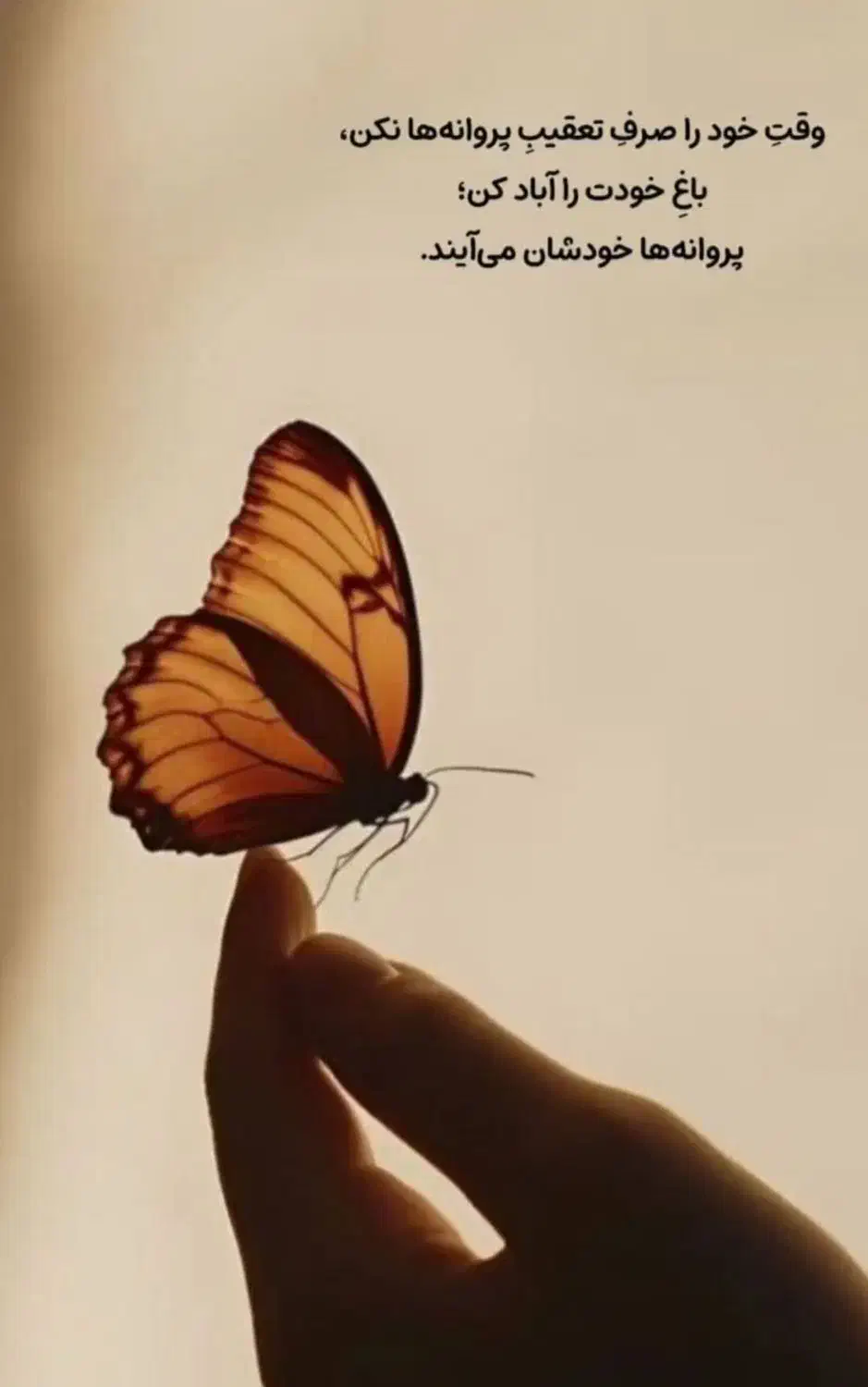 مدارک گم شده|اشیا|هشتگرد, فاز ۷ مهستان|دیوار