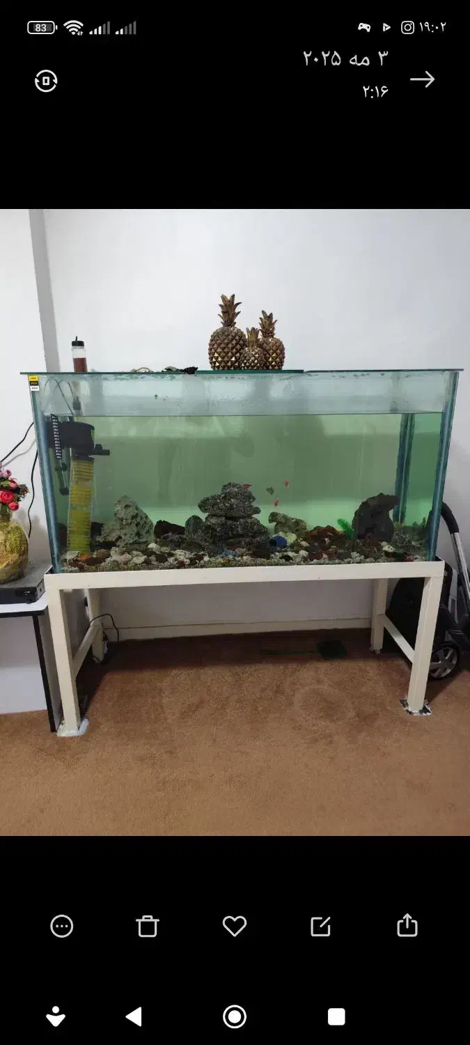 آکواریوم با تمام وسایل سالم|ماهی|بندرعباس, |دیوار