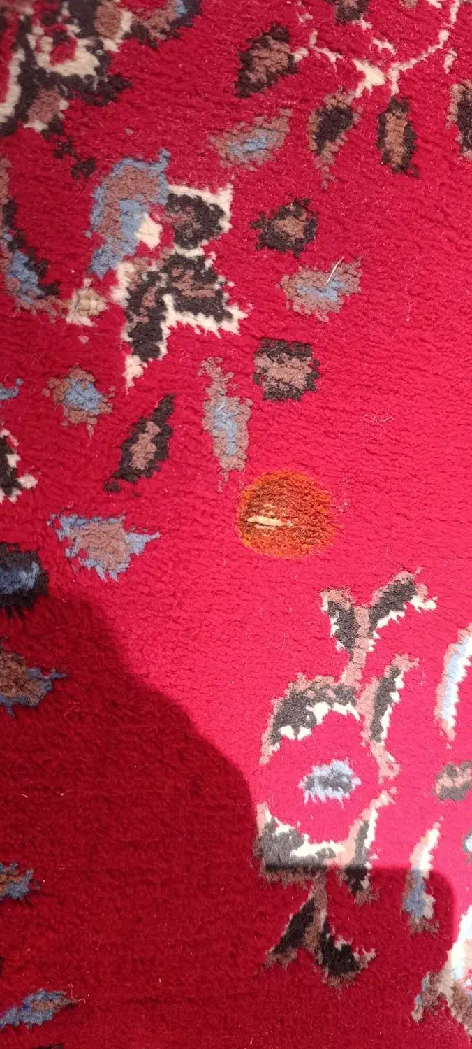 کناره|فرش|زاهدان, |دیوار