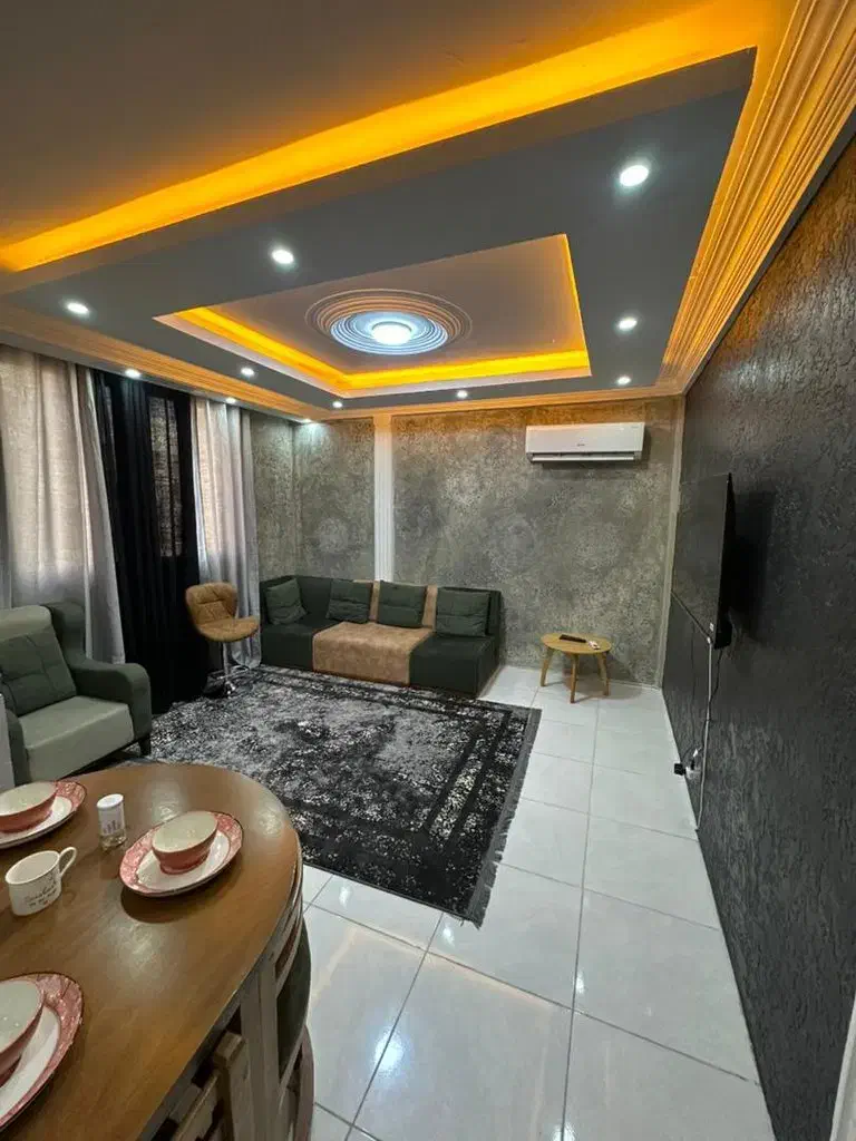 اجاره ی سویت و آپارتمان مبله در همه ی مناطق تهران|اجارهٔ کوتاه‌مدت آپارتمان و سوئیت|تهران, دکتر هوشیار|دیوار