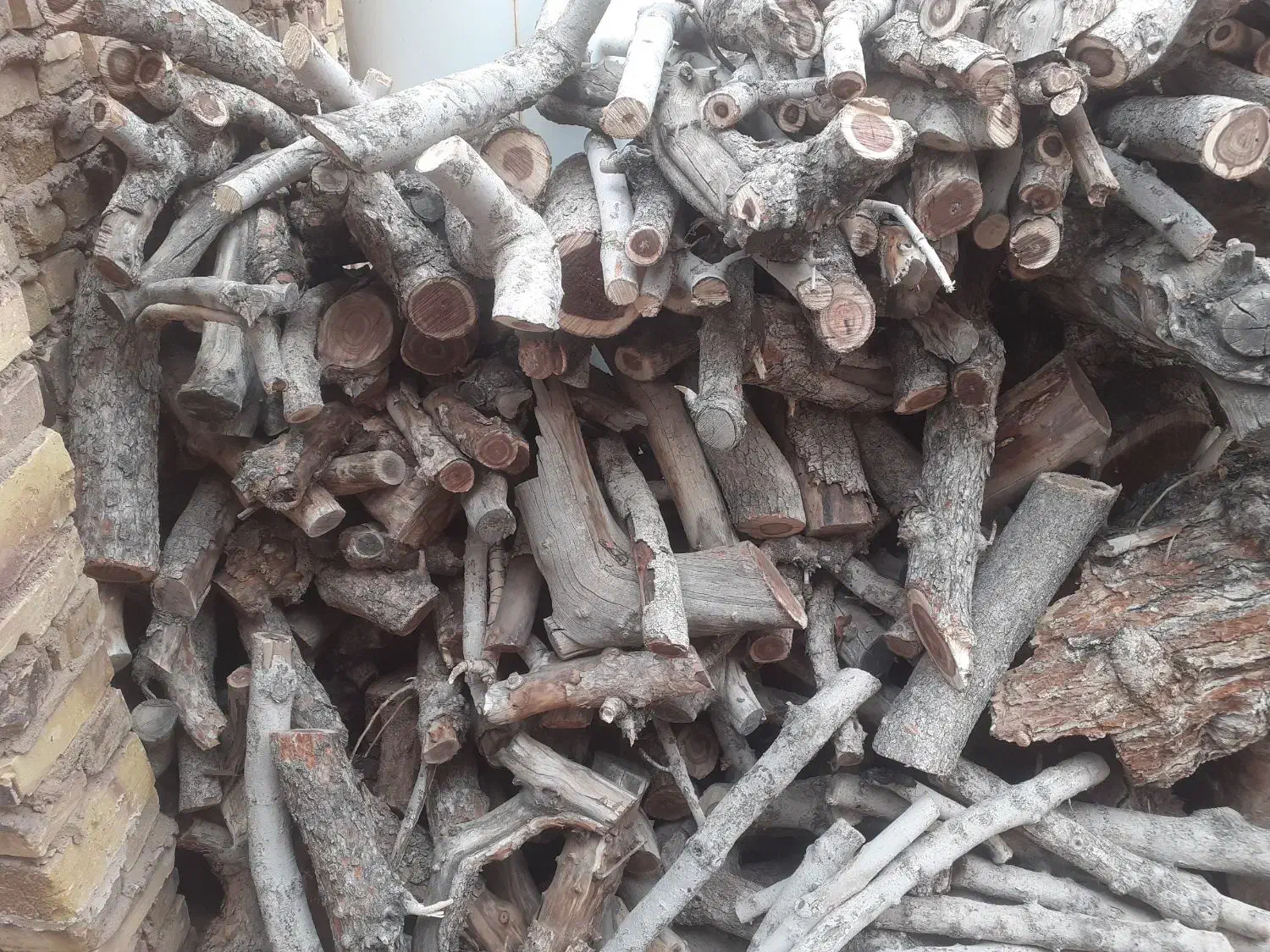 بریدن درخت با اره موتوری|خدمات باغبانی و درختکاری|اردکان, |دیوار