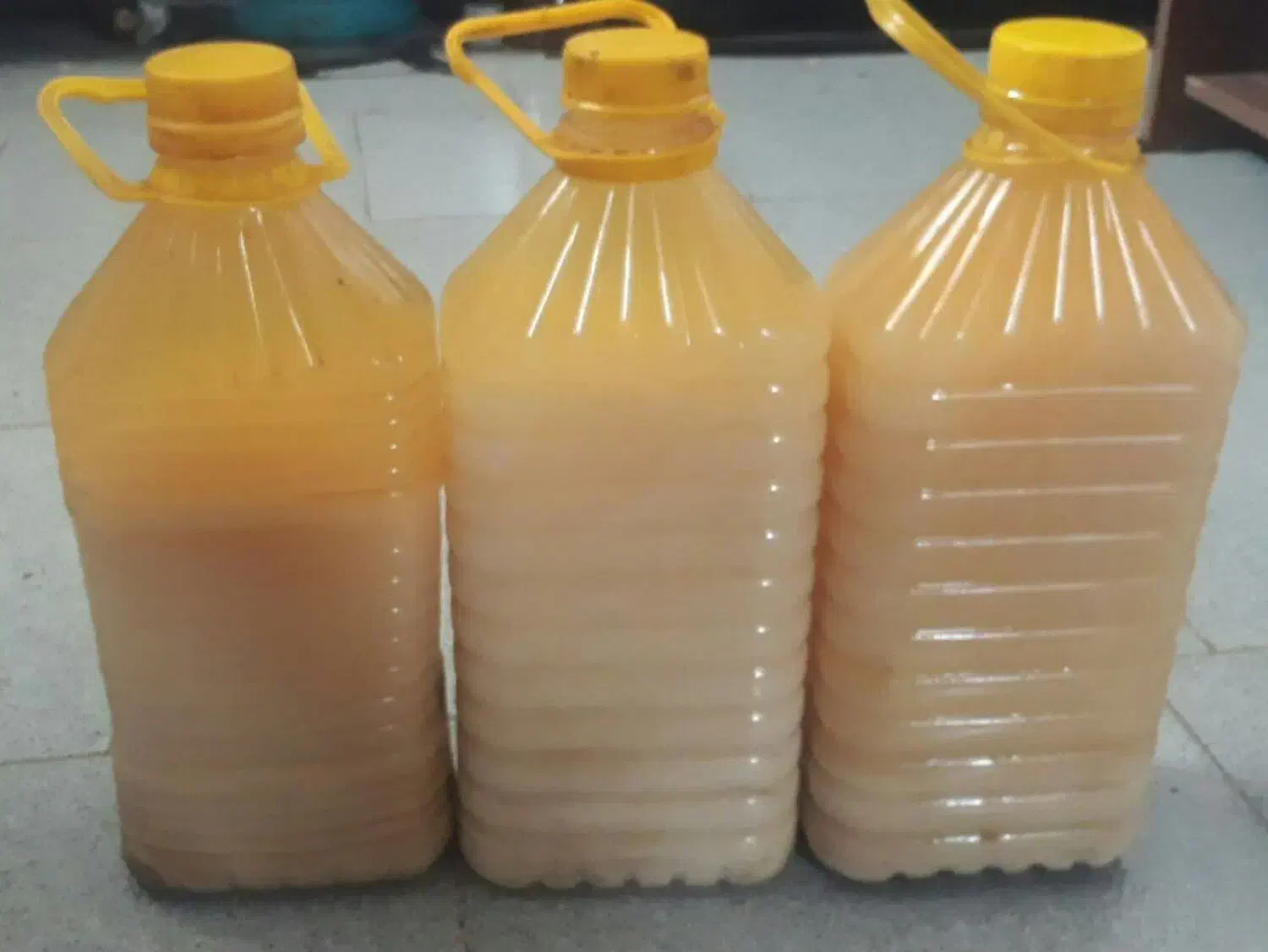 روغن شترمرغ|آرایشی، بهداشتی، درمانی|شیراز, ریشمک|دیوار