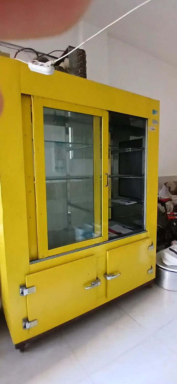 یخچال ویترینی دو در درحد نو|فروشگاه و مغازه|همدان, |دیوار