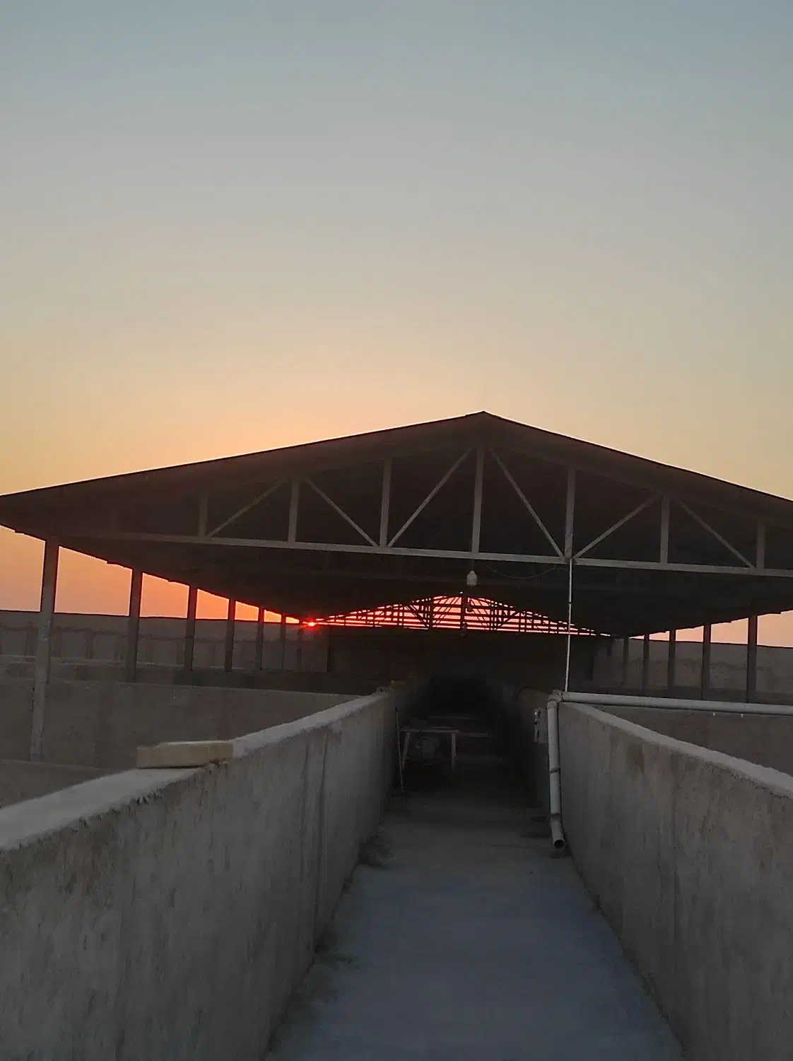 اجاره مزرعه «شتر مرغ ۷۰۰۰»|اجارهٔ دفتر صنعتی، کشاورزی، تجاری|گرمسار, |دیوار