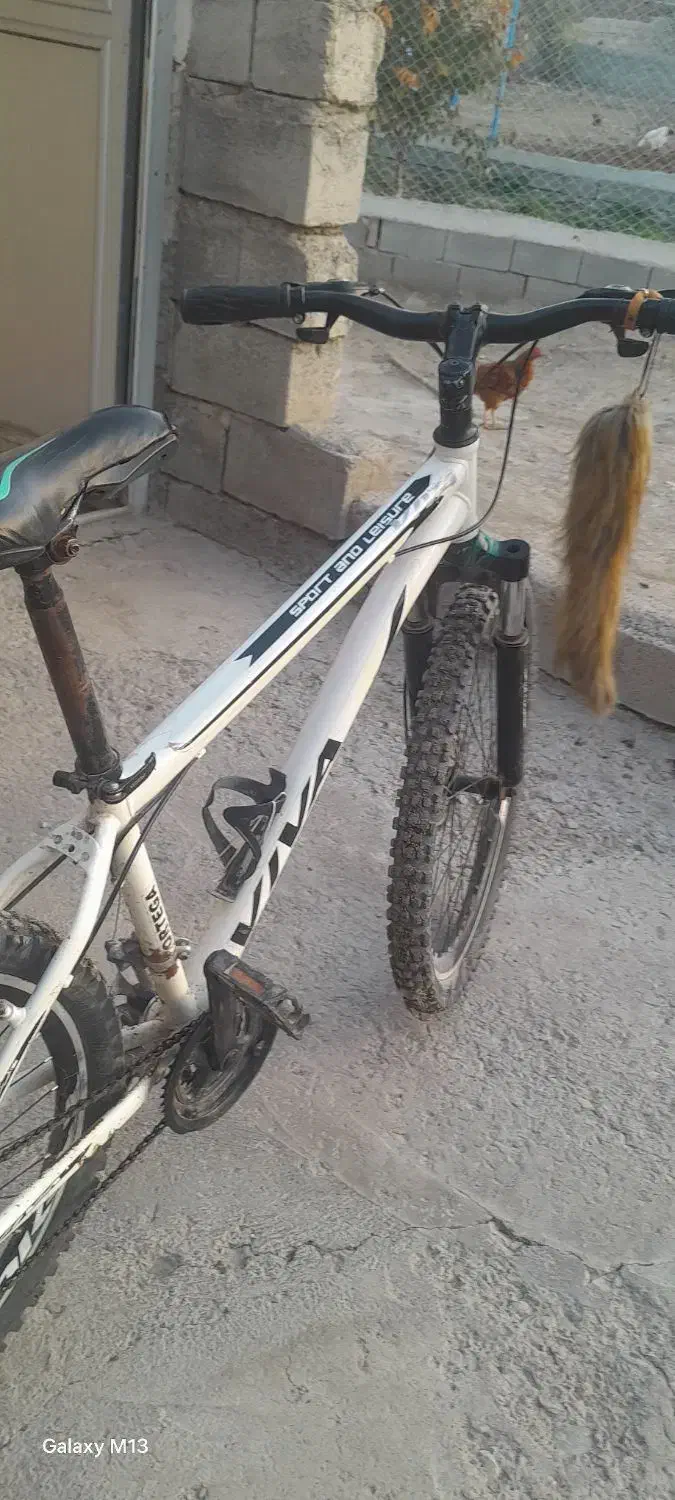 دوچرخه|دوچرخه، اسکیت، اسکوتر|اهر, |دیوار