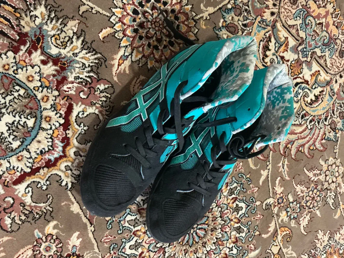 کفش حرفه ای کشتی و بدنسازی و بوکس مفت|کیف، کفش، کمربند|یاسوج, |دیوار