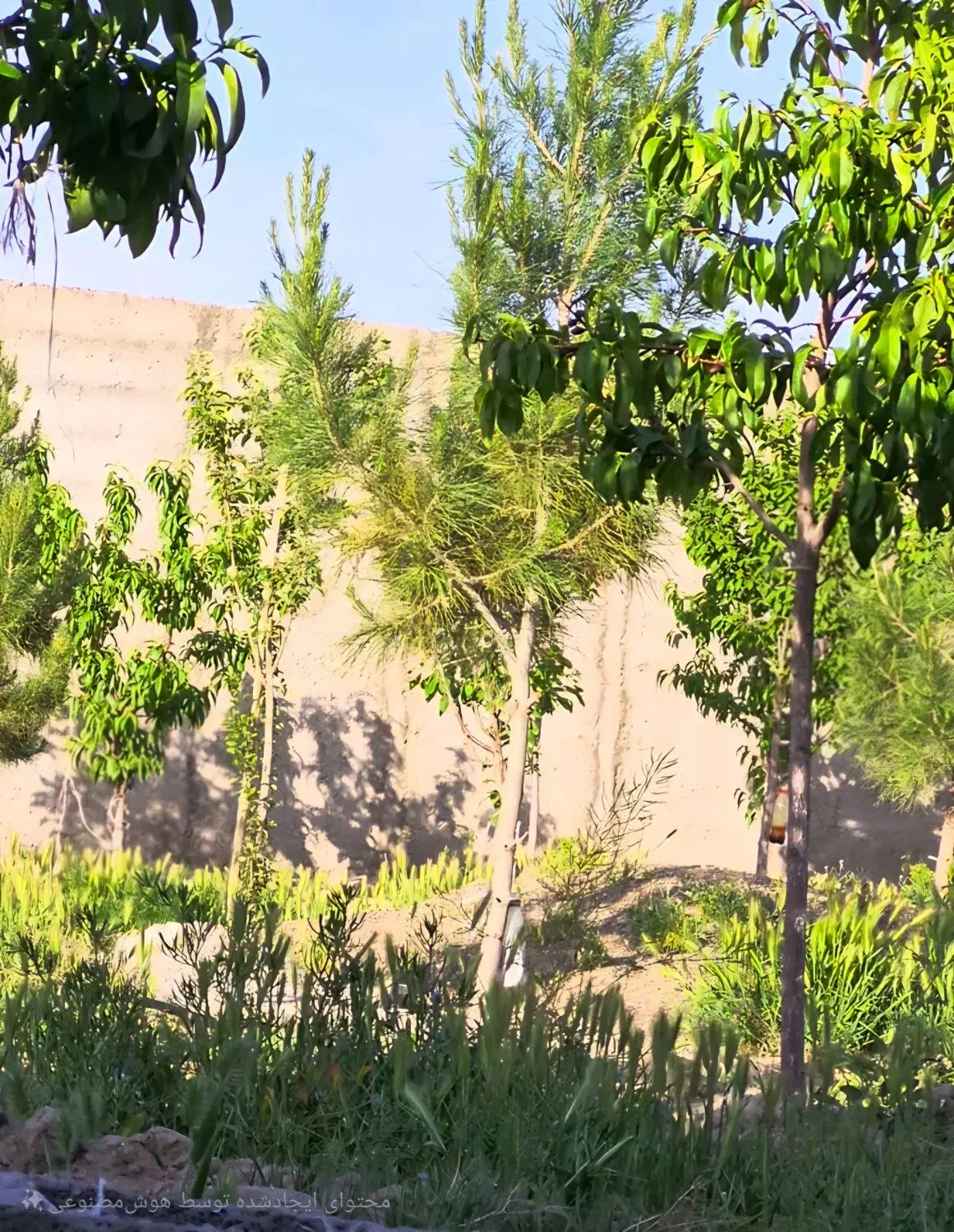 زمین شاهنامه ۷۶|فروش زمین و ملک کلنگی|مشهد, شمس آباد|دیوار