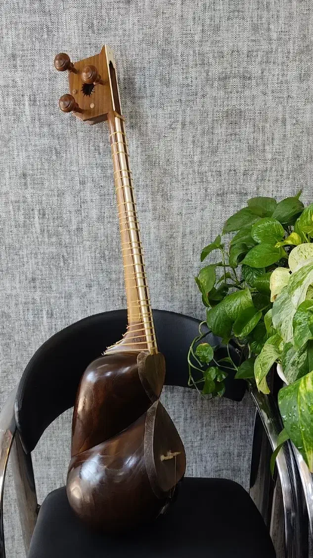 تار حرفه ای خوش صدا|سازهای سنتی|جهرم, |دیوار