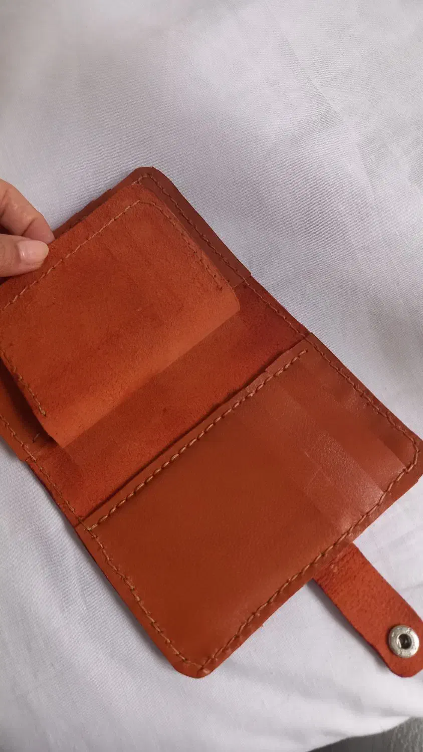 اجسام چرم طبیعی|کیف، کفش، کمربند|سقز, |دیوار