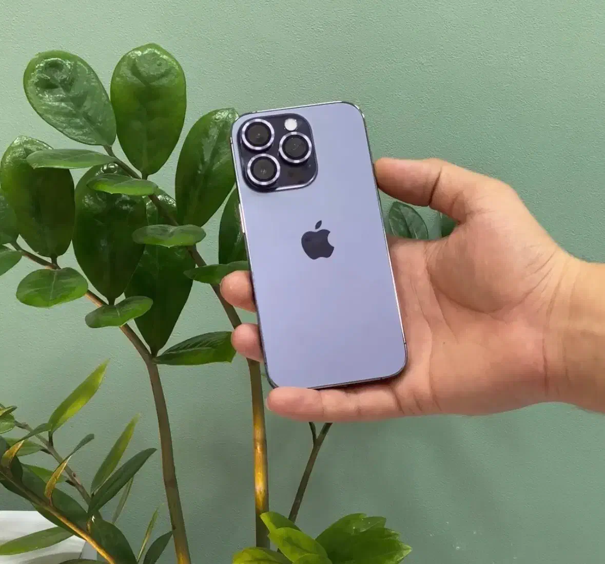 iphone 14 pro|موبایل|آق قلا, |دیوار