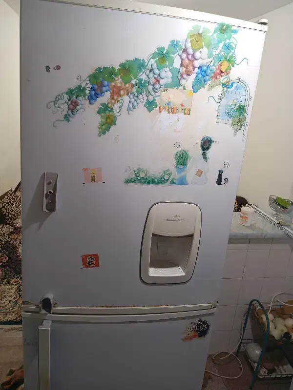 یخچال فریزر دودرب تمیز زنگ زدگی جزعی|یخچال و فریزر|بوشهر, |دیوار