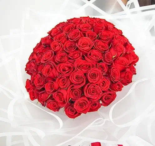 ۳۰ درصد تخفیف برای صد شاخه گل رزبه مناسبت روز دختر|گل و گیاه طبیعی|رشت, کوی حسینی|دیوار