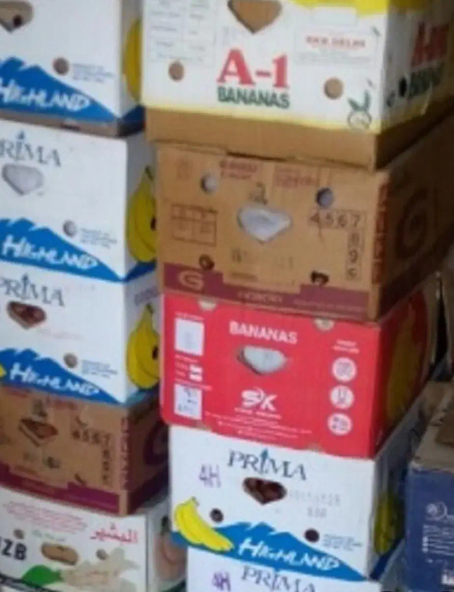 خرما کارتن موزی|عمدهفروشی|وحدتیه, |دیوار