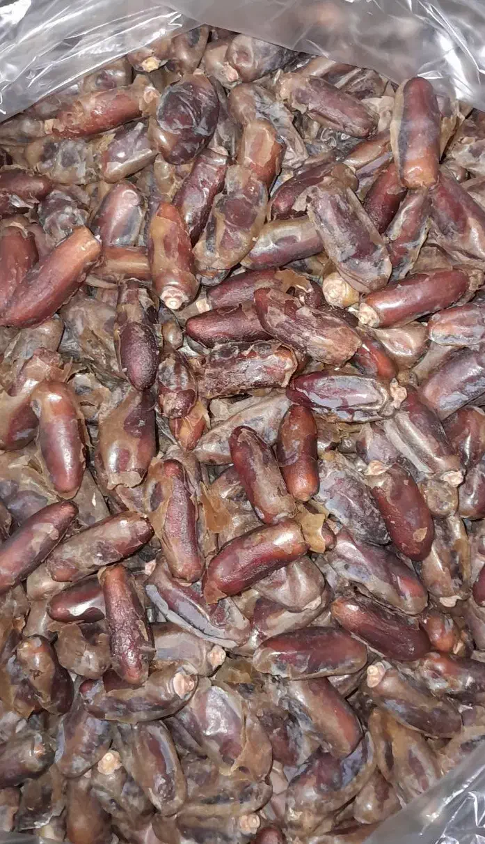 خرمای شاهانی لارستان|خوردنی و آشامیدنی|مرودشت, بیست متری بیمارستان|دیوار