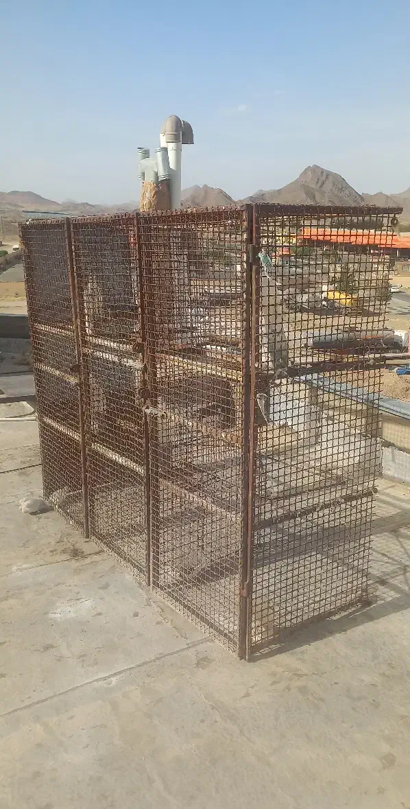 جفتگاه کفتر|لوازم جانبی حیوانات|بیرجند, |دیوار