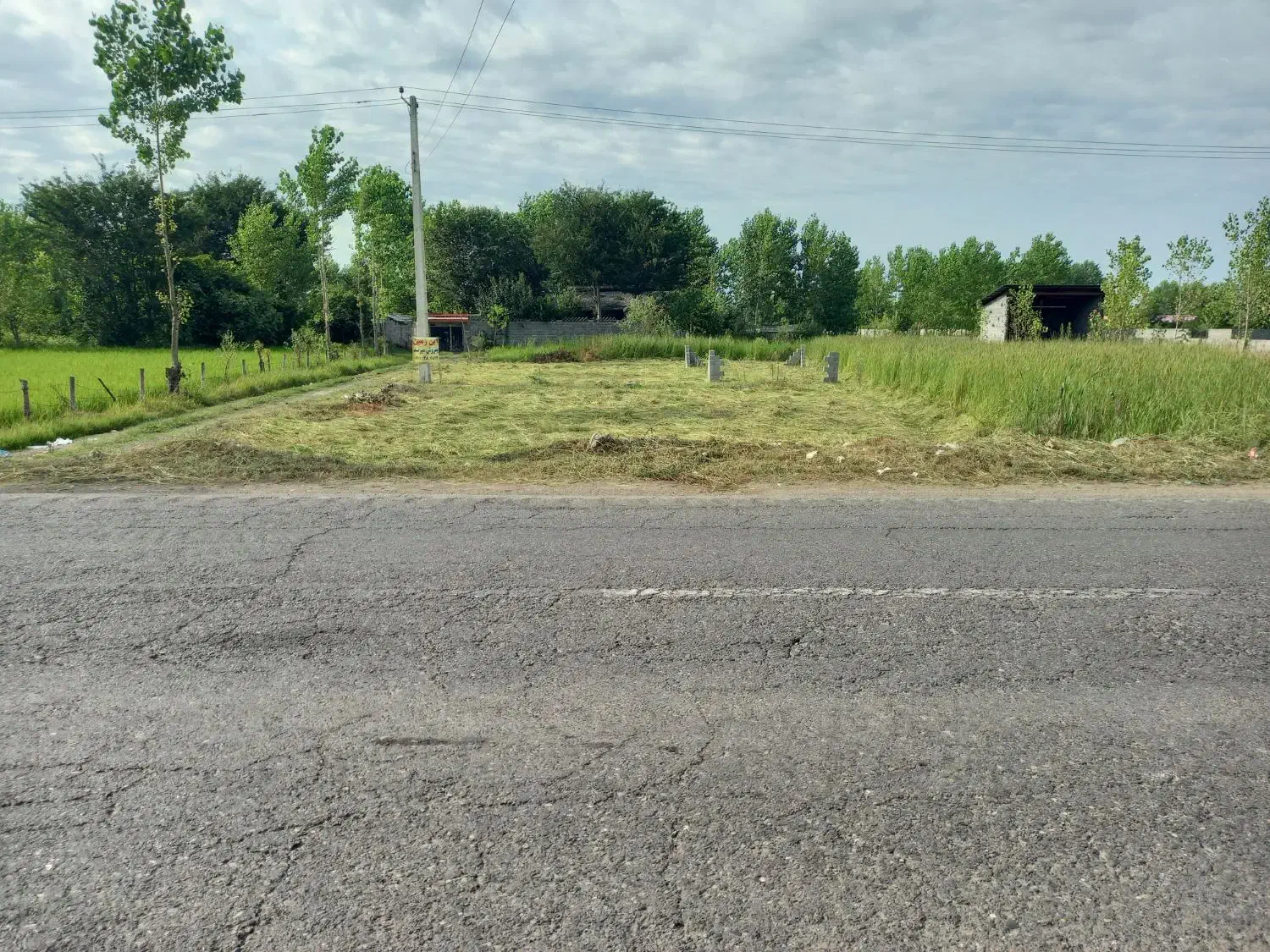 زمین حدود120متر بر جاده اصلی خمام،کارگاه،گلخانه و.|فروش زمین و ملک کلنگی|خمام, |دیوار