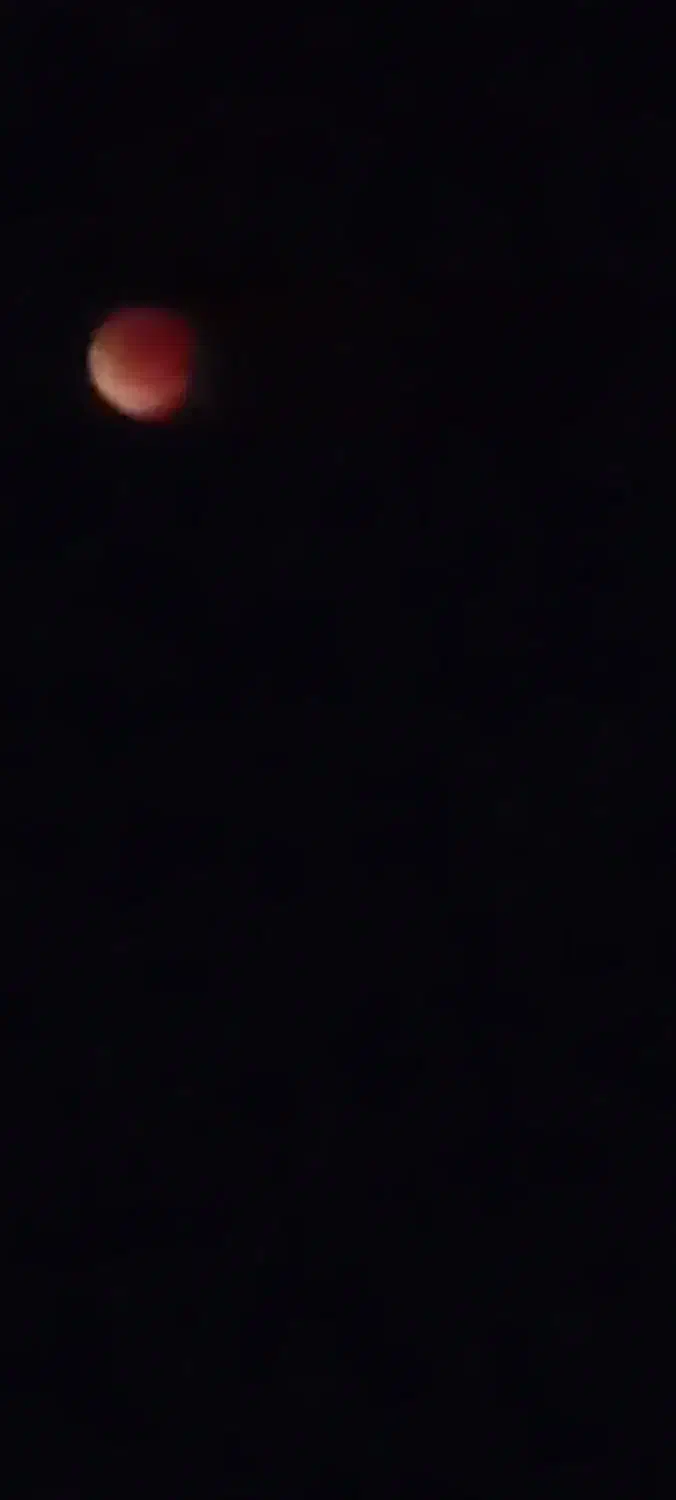 گم شده|اشیا|قشم, |دیوار