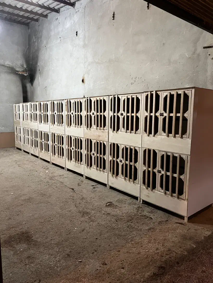 گنجه مرغ و خروس لاری و جفت کن کبوتر،کفتر نقد و چکی|لوازم جانبی حیوانات|ساری, |دیوار