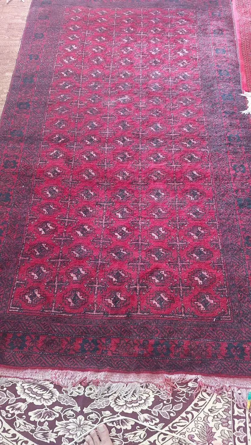 فروش فرش دست بافت پشم|فرش|رضویه, |دیوار