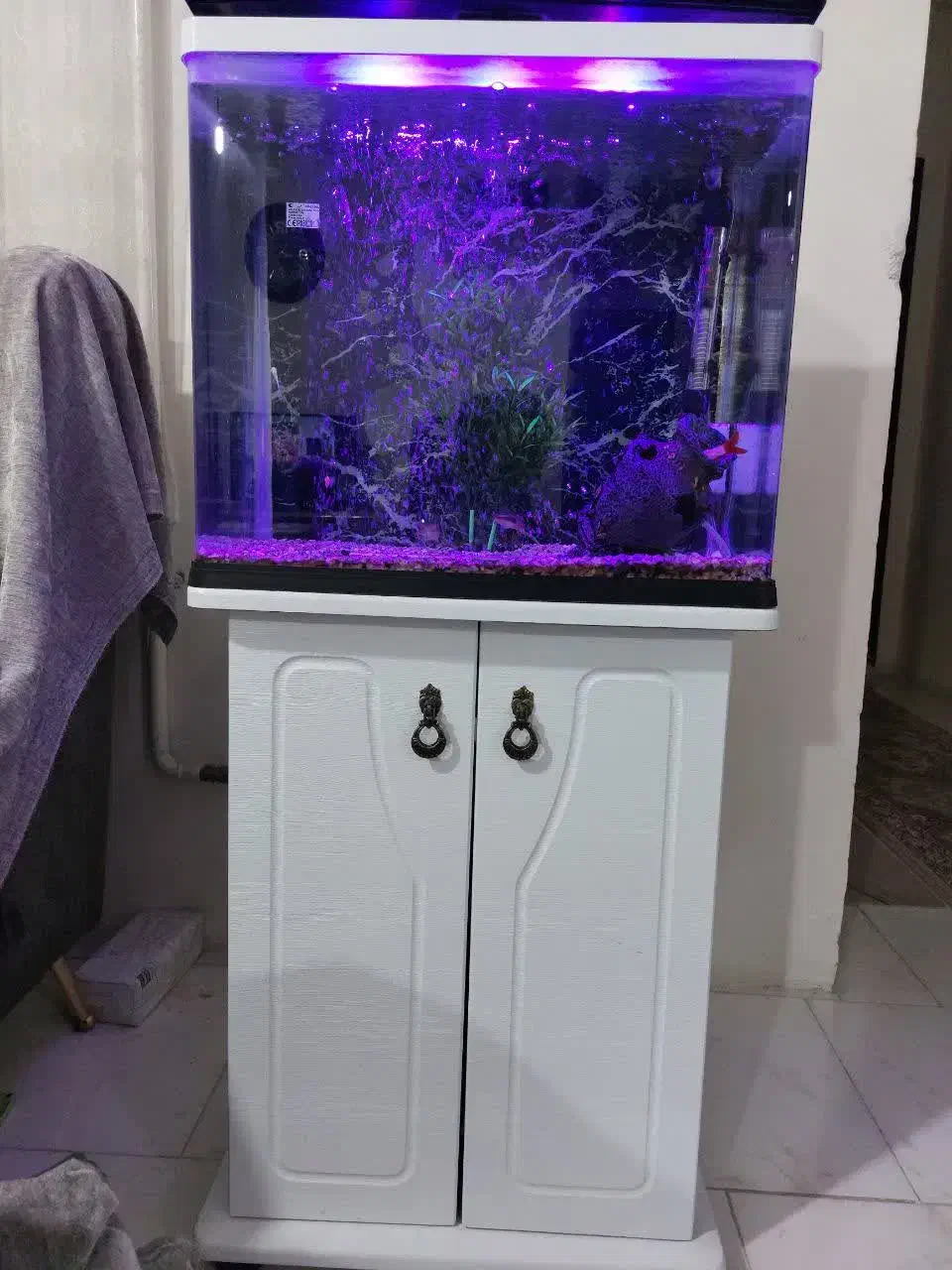 آکواریوم شرکتی ۵۰لیتری کامل|ماهی|هشتگرد, فاز ۱ مهستان|دیوار