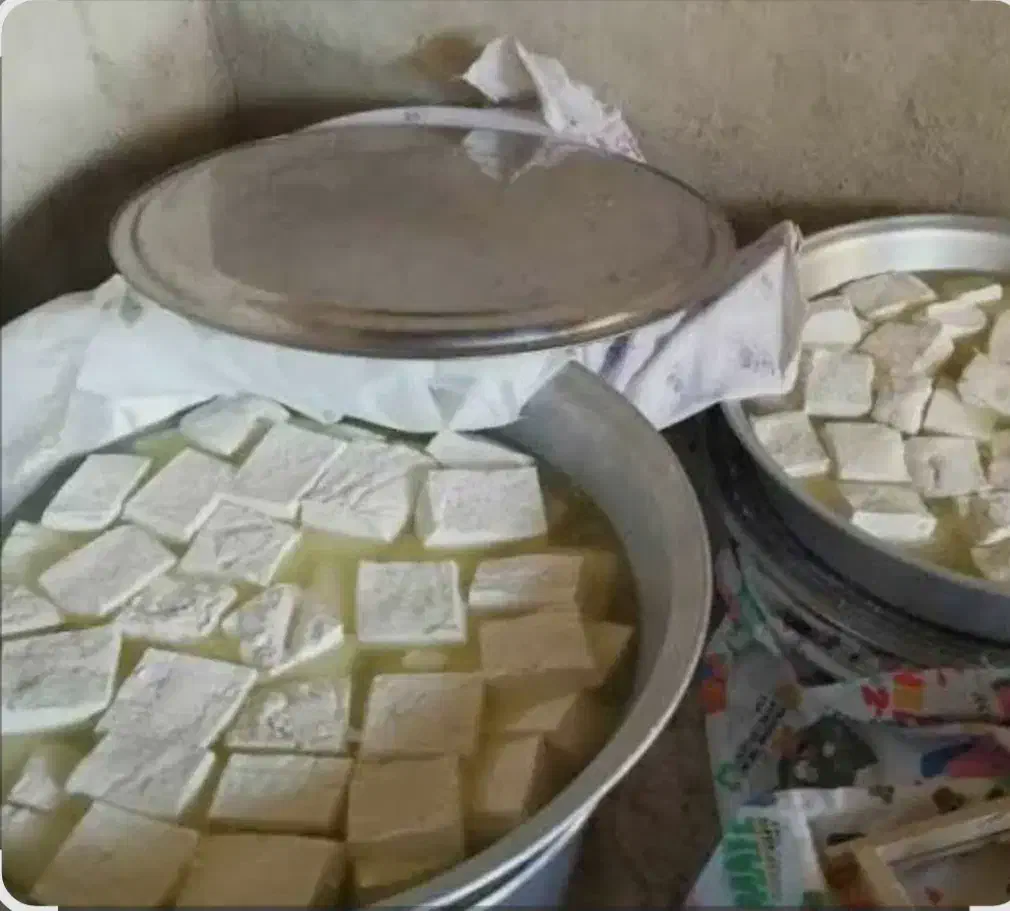 پنیر گوسفندی درجه یک ارگانیک|عمدهفروشی|بناب, |دیوار