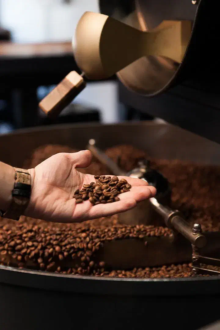 پخش قهوه عمده (رُستری)|کافی‌شاپ و رستوران|یزد, |دیوار