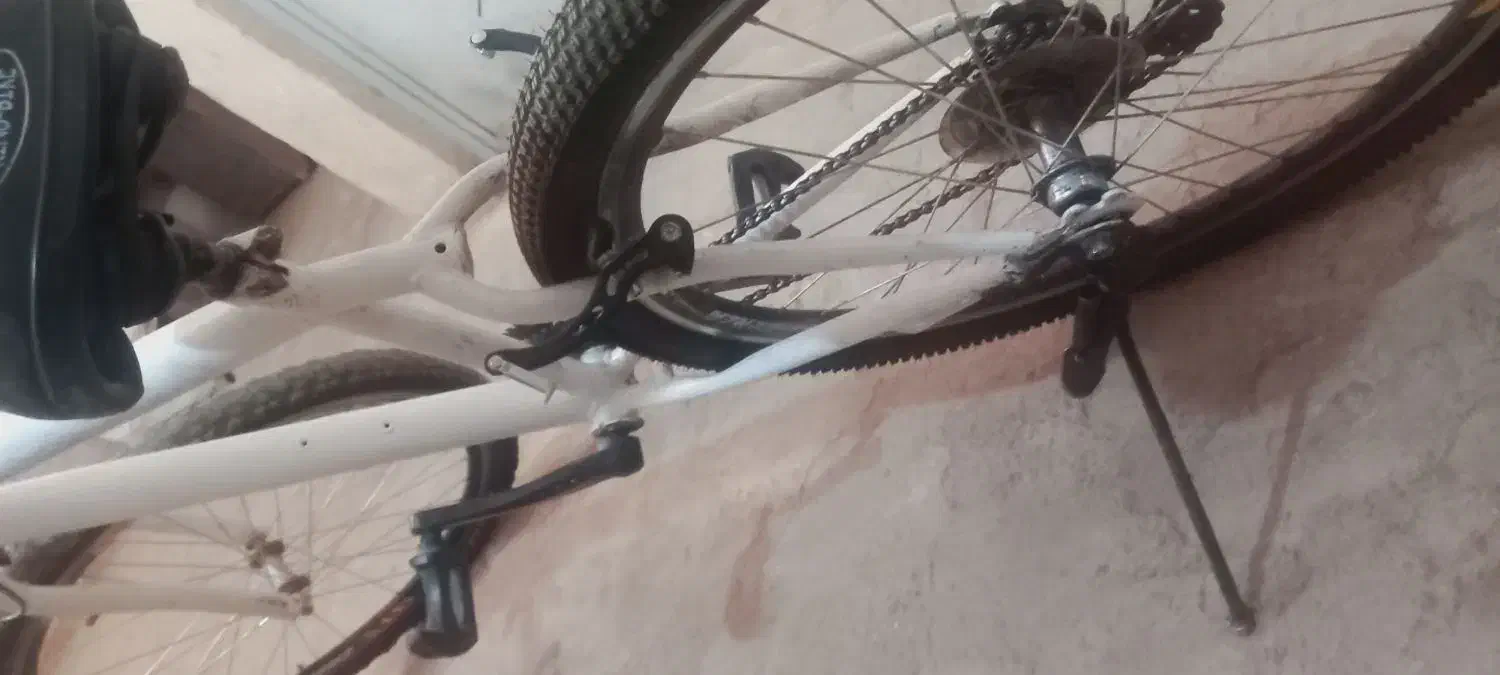 دوچرخه ویوا|دوچرخه، اسکیت، اسکوتر|کرمان, |دیوار