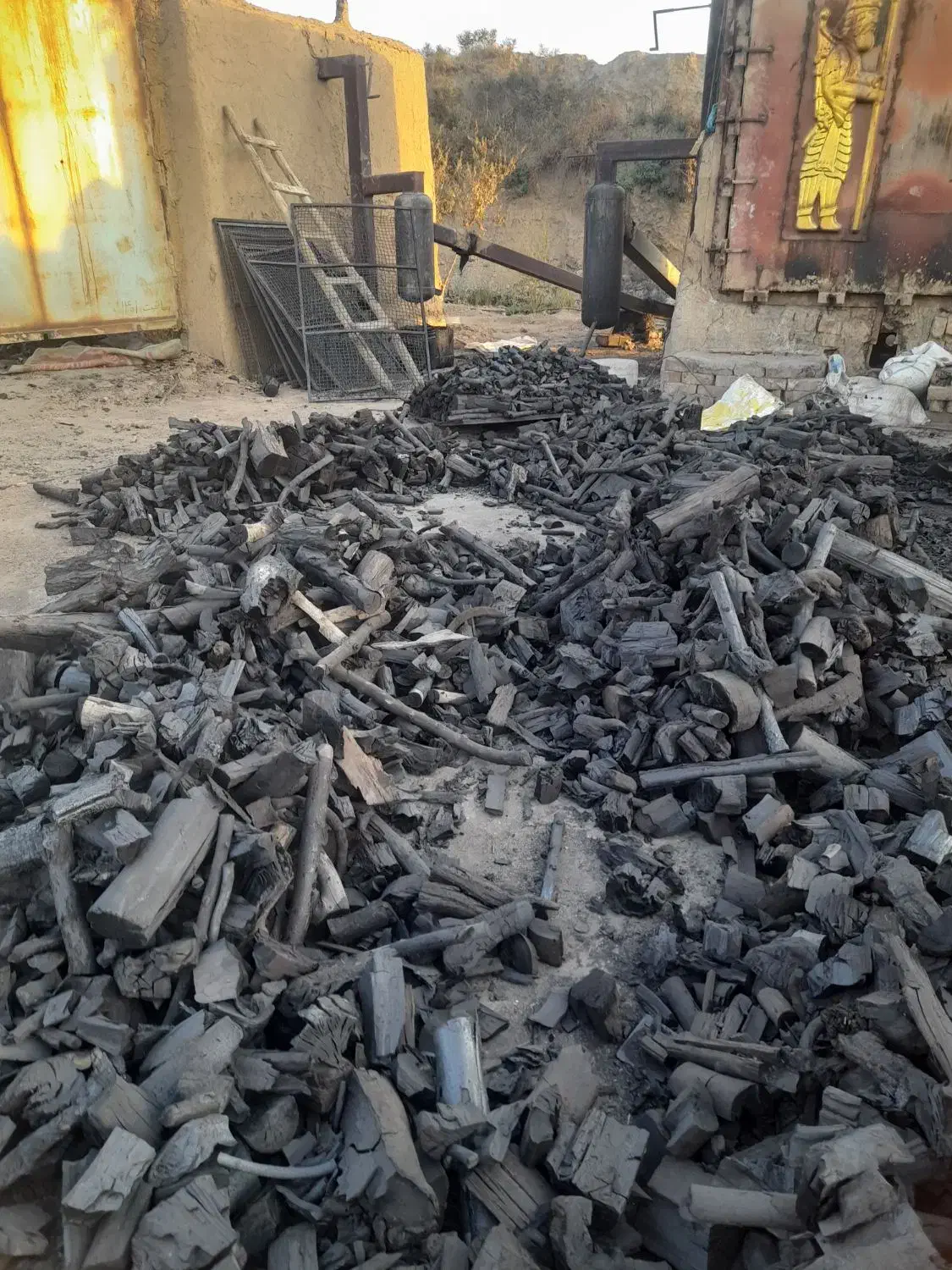 خرید انواع چوب درخت|خدمات باغبانی و درختکاری|کنگاور, |دیوار