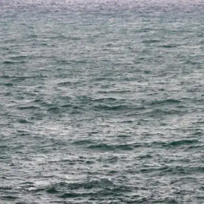 گروه تلگرام دارم قدیمی|فعالیت داوطلبانه|سهند, |دیوار